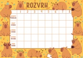 Rozvrh hodin Kapybary